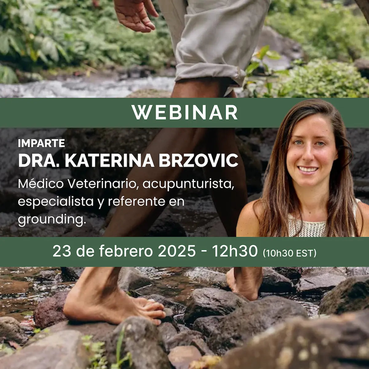 Webinar Gratuito 23/02/2025 - Principios básicos del grounding