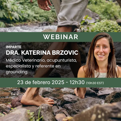 Webinar Gratuito 23/02/2025 - Principios básicos del grounding