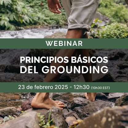 Webinar Gratuito 23/02/2025 - Principios básicos del grounding